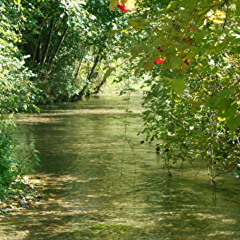 Balades naturalistes sur la nappe de Dijon Sud et de la Cent Fonts - Parcours 1 (Fénay-Saulon-la-Rue) - ENS2026 - FENAY