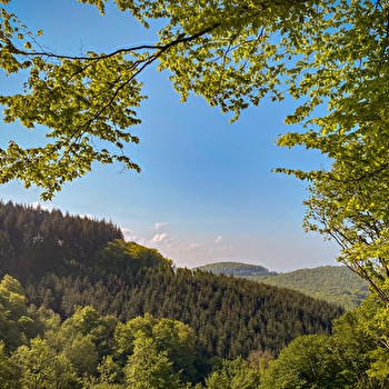 Circuit de randonnée : Nid au vautour - PLANCHEZ