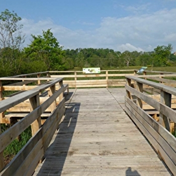 Les seigneurs de la nuit - MASSILLY