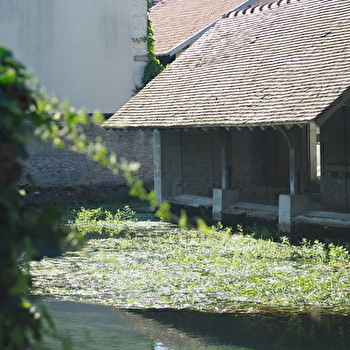 Lavoir à plancher mobile - VILLECOMTE
