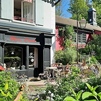 Rosa Mundi - ROUGEGOUTTE