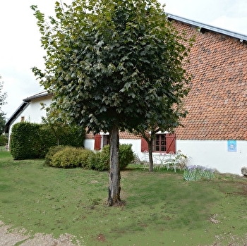 Charmilles - LE FIED