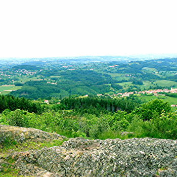 Le Mont Saint-Cyr - MONTMELARD