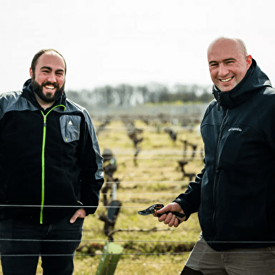 Domaine Poupat & fils