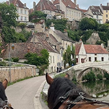 Balade de l'Armançon en calèche - SEMUR-EN-AUXOIS