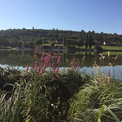 CAMPING DE L ETANG DES FORGES