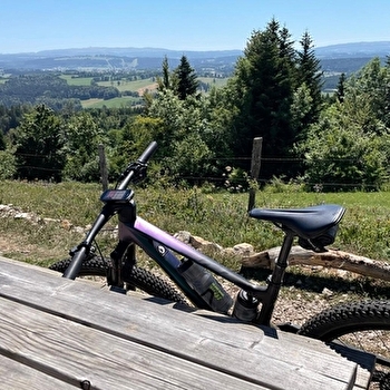 Le Faux Verger - n°19 - MAICHE