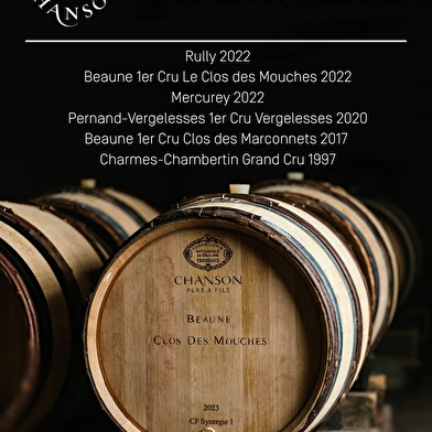 Domaine Chanson - Dégustation spéciale Vente des vins 2025 