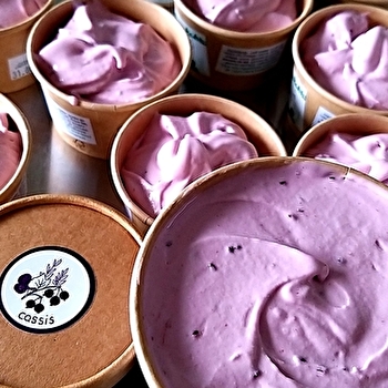 La Ferme des Trefles - FRASNAY-REUGNY