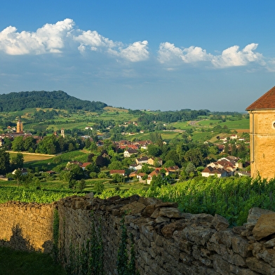 Tour du Jura Vélo Loisirs – Option Gravel : Port-Lesney – Poligny