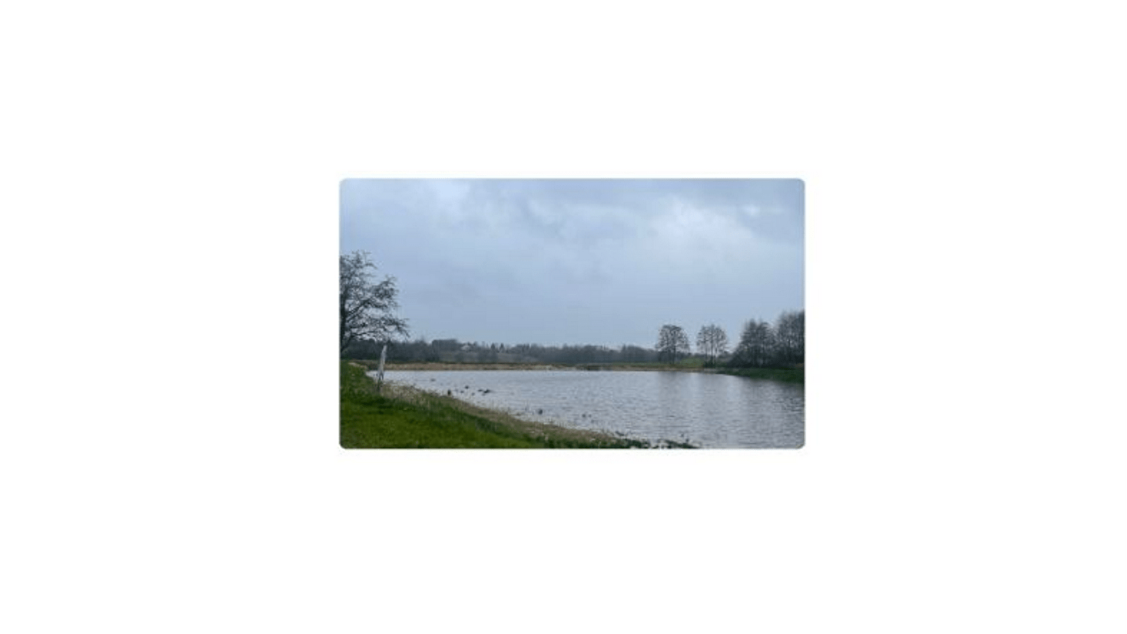 Etang La Varenne