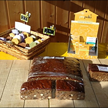 Le Miel des Toines - FONCINE-LE-HAUT