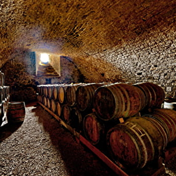 Maison Bonnot - SAINT-LOTHAIN