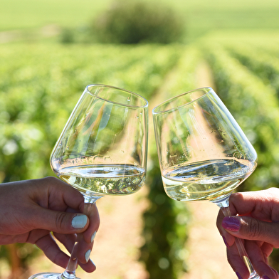 Pass'En Côte de Nuits