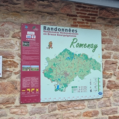 Liaison VTT-VTC (L5) St Trivier de Courtes - Romenay