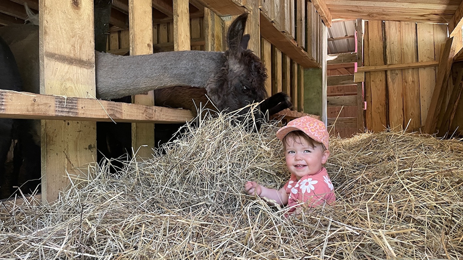 Lama Loisir Mamirolle