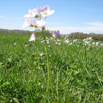 Circuit randonnée : La Nove