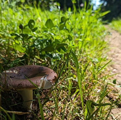 Du chemin de la République au Doubs