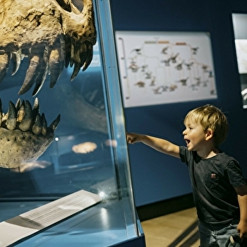 Jardin de l'Arquebuse - Museum - DIJON