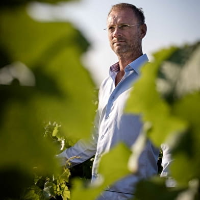 Domaine de Pisse-Loup