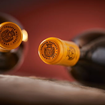 Château de Saint-Aubin - Maison Prosper Maufoux : Expérience Grands Crus - SAINT-AUBIN