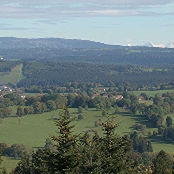 Par le Faux Verger - MAICHE