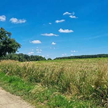 Circuit VTTAE n°13 (rouge) - Les chemins de St Jean - MONTREVEL-EN-BRESSE