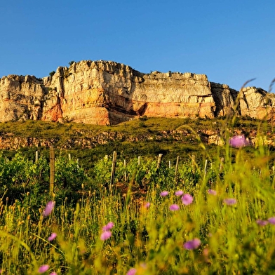 Escapade Nature - De la Grange du Bois à Mâcon Loché