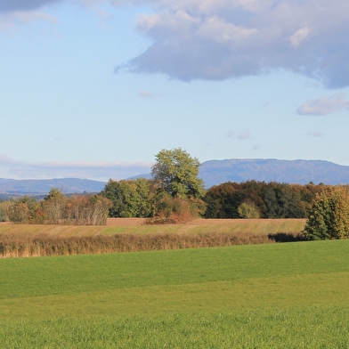 La Boucle des Bruyères