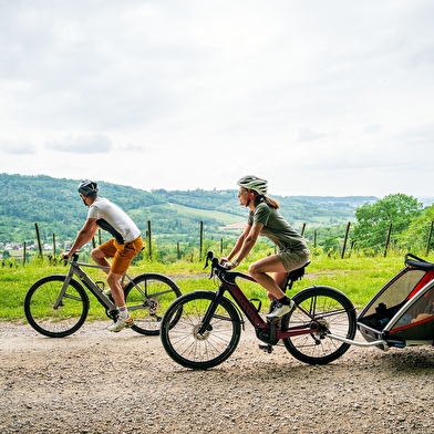 La Voie PLM Perrigny Chatillon