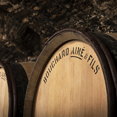 Bouchard Ainé & Fils - Visite des caves & dégustation spéciale Vente des Vins 2025 (9 vins dont 3 Grands Crus) - Beaune