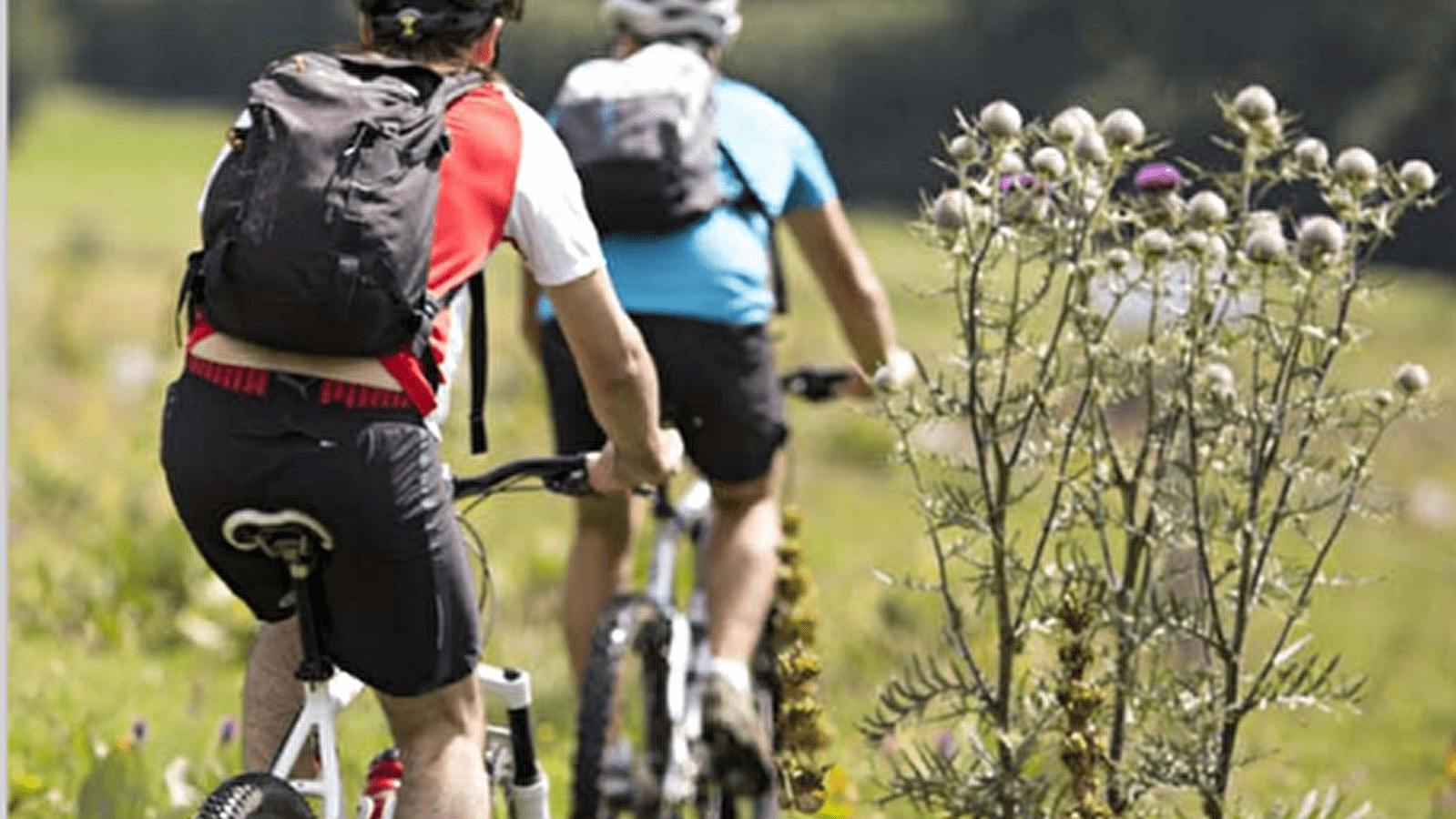 Les Chemins de la Contrebande - Les Gabelous (VTT)