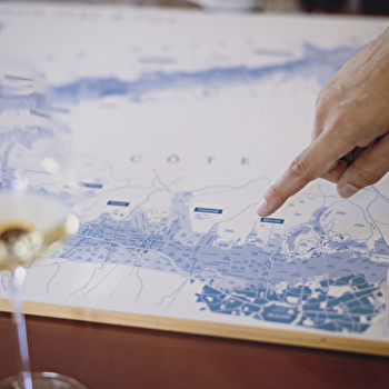 Domaine Chanson - Dégustation Prestige - BEAUNE