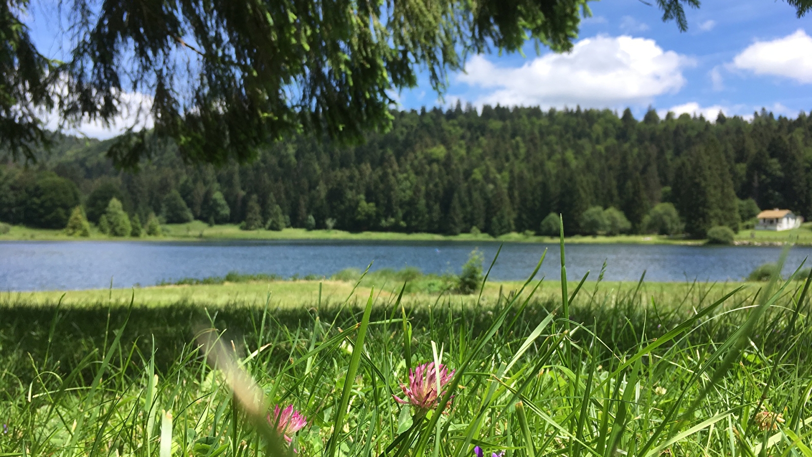 Parcours VTT 67 vert - Lac Genin et les hauts de Charix - Espace FFC Ain Forestière