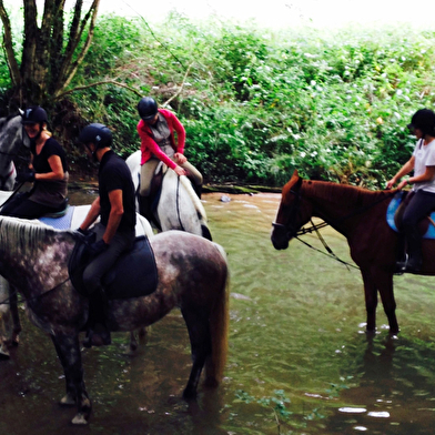 Le Cavaletti Nivernais