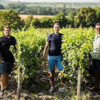 Vignobles Berthier - SAINTE-GEMME-EN-SANCERROIS