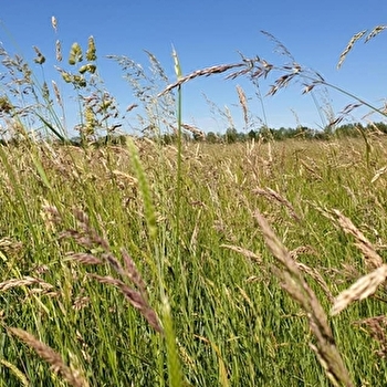 Agriculture et environnement, visite d'une parcelle agricole respectueuse de l'environnement_ENS2026 - FLAMMERANS