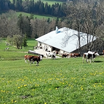 Gîte Les Pâturages - JOUGNE