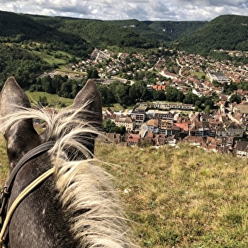 Loue Caval - Éthologie Équitation d'extérieur - ORNANS