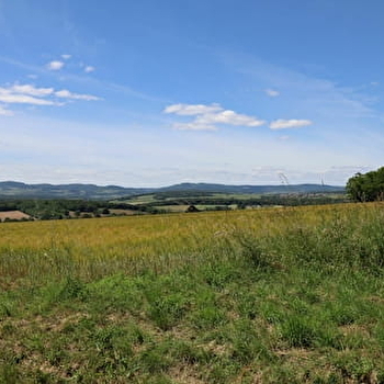 Les bois de Charbonnières - CHARBONNIERES