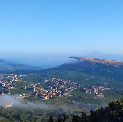 Apéros à Vergisson