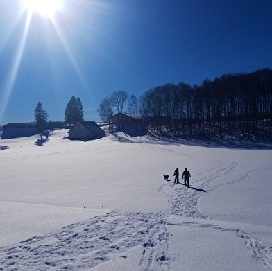 Itinéraire Raquettes du site de Lachat 'Le Golet Sapin'