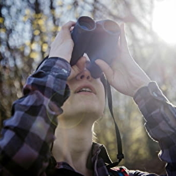 À la découverte des oiseaux - DOMPIERRE-LES-ORMES
