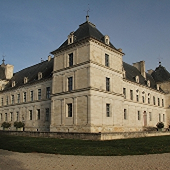 Ancy-le-Franc et son château - ANCY-LE-FRANC