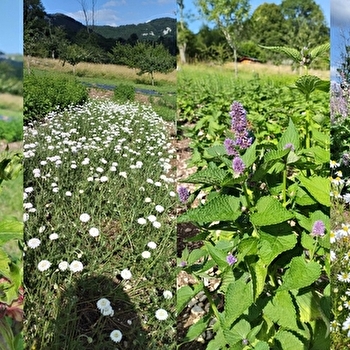 A la rencontre de David : Les trésors spiritueux de la Vallée de la Loue - MOUTHIER-HAUTE-PIERRE