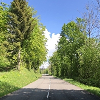 Circuit vélo : Vieille Lèbe et Col de Cuvillat - CHAMPAGNE-EN-VALROMEY
