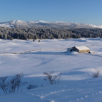 Gite Bussod - BELLECOMBE