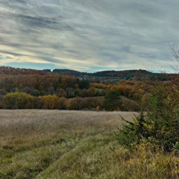 Le reveil du bois de Montfée_ENS2026 - SEMEZANGES