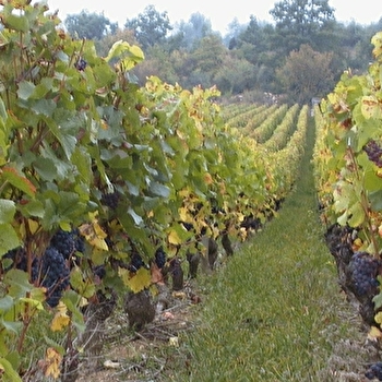 Belland Roger - SANTENAY