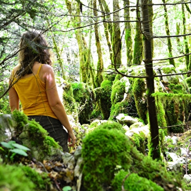 Sentier karstique des Malrochers